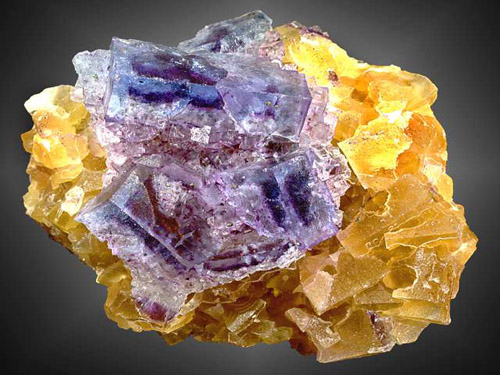 Ξʯ�V�x�V�O(sh��)��|Ξʯ�V�x�V�O(sh��)��r��|Ξʯ�V�x�V�O(sh��)��S��